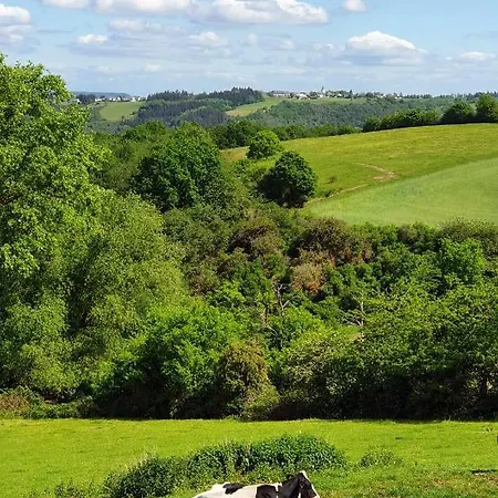 Roosartige Ferien - Im Hanswieschen - Bacharach Διαμέρισμα