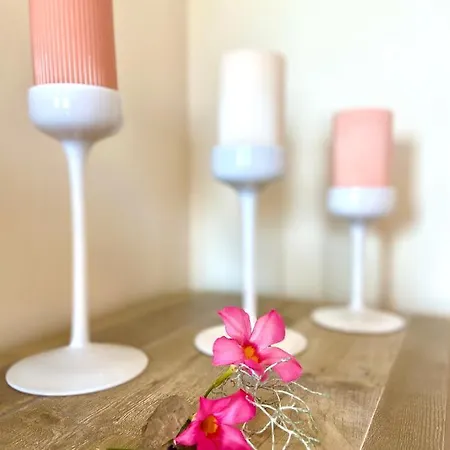 Roosartige Ferien - Im Hanswieschen - Bacharach Oberwesel