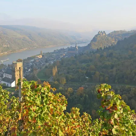 アパート Roosartige Ferien - Im Hanswieschen - Bacharach *