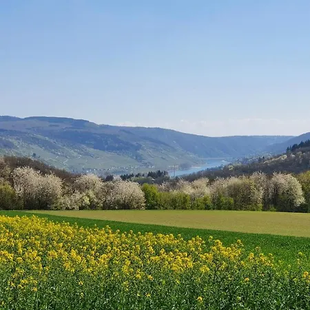 Διαμέρισμα Roosartige Ferien - Im Hanswieschen - Bacharach *