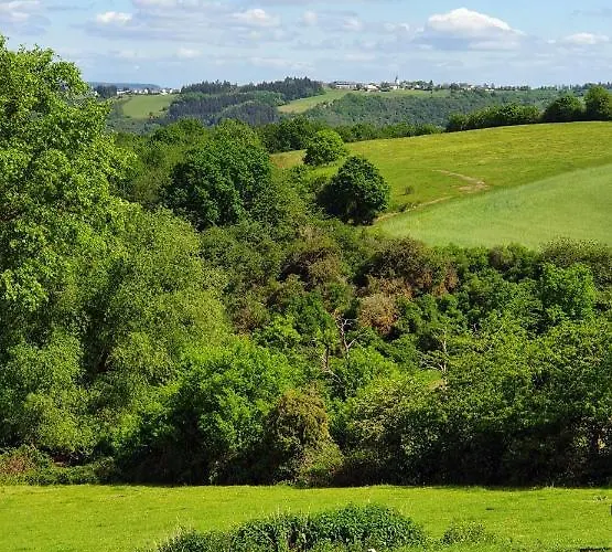 Roosartige Ferien - Im Hanswieschen - Bacharach アパート