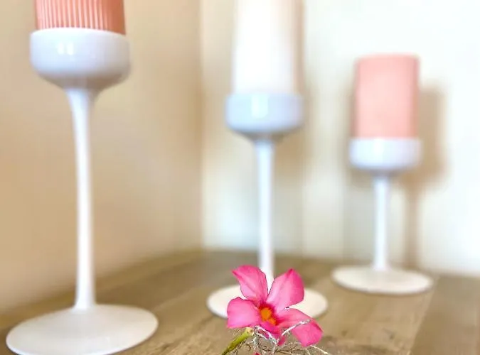 Roosartige Ferien - Im Hanswieschen - Bacharach オーバーヴェセル