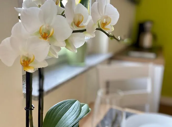 Roosartige Ferien - Im Hanswieschen - Bacharach * オーバーヴェセル