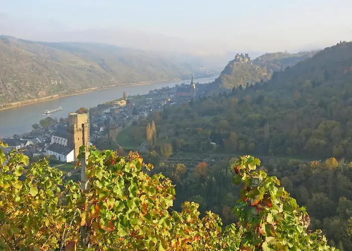 דירה Roosartige Ferien - Im Hanswieschen - Bacharach *