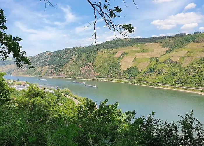 Roosartige Ferien - Im Hanswieschen - Bacharach アパート