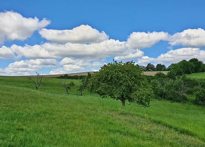 Roosartige Ferien - Im Hanswieschen - Bacharach アパート