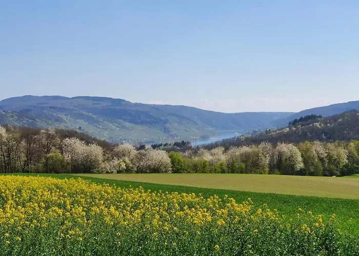 アパート Roosartige Ferien - Im Hanswieschen - Bacharach *